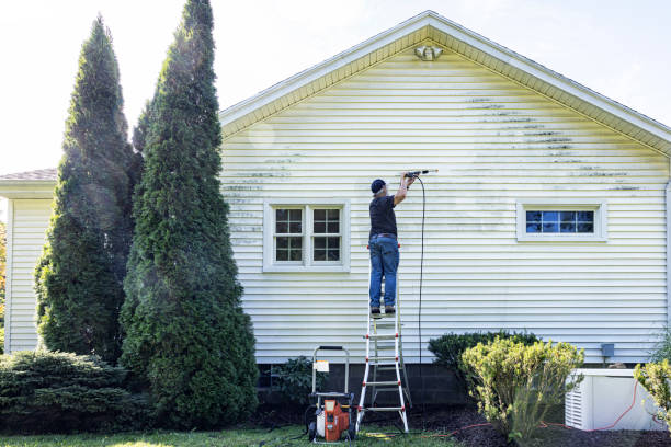 Solar Panel Cleaning in Woodside East, DE